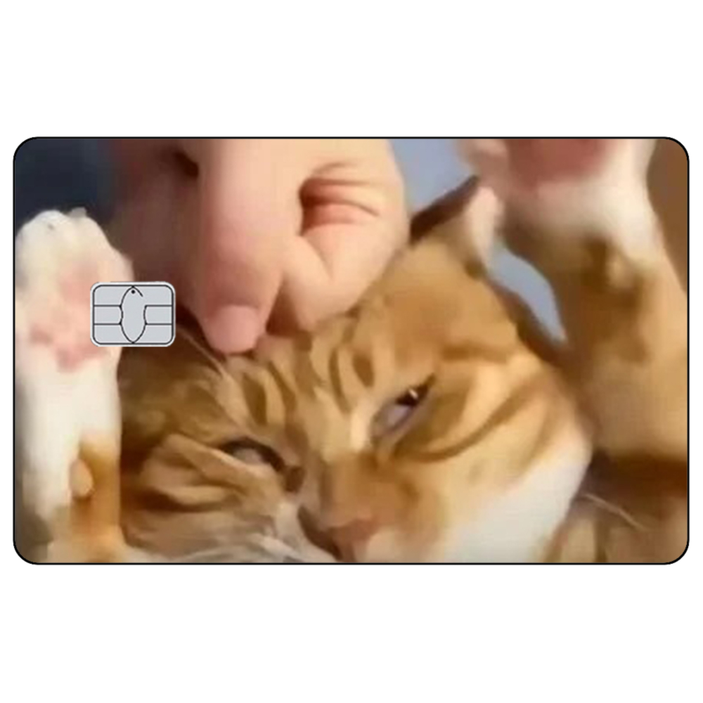 Pegatinas de piel de tarjeta d - Badminton Meme reseña y precio